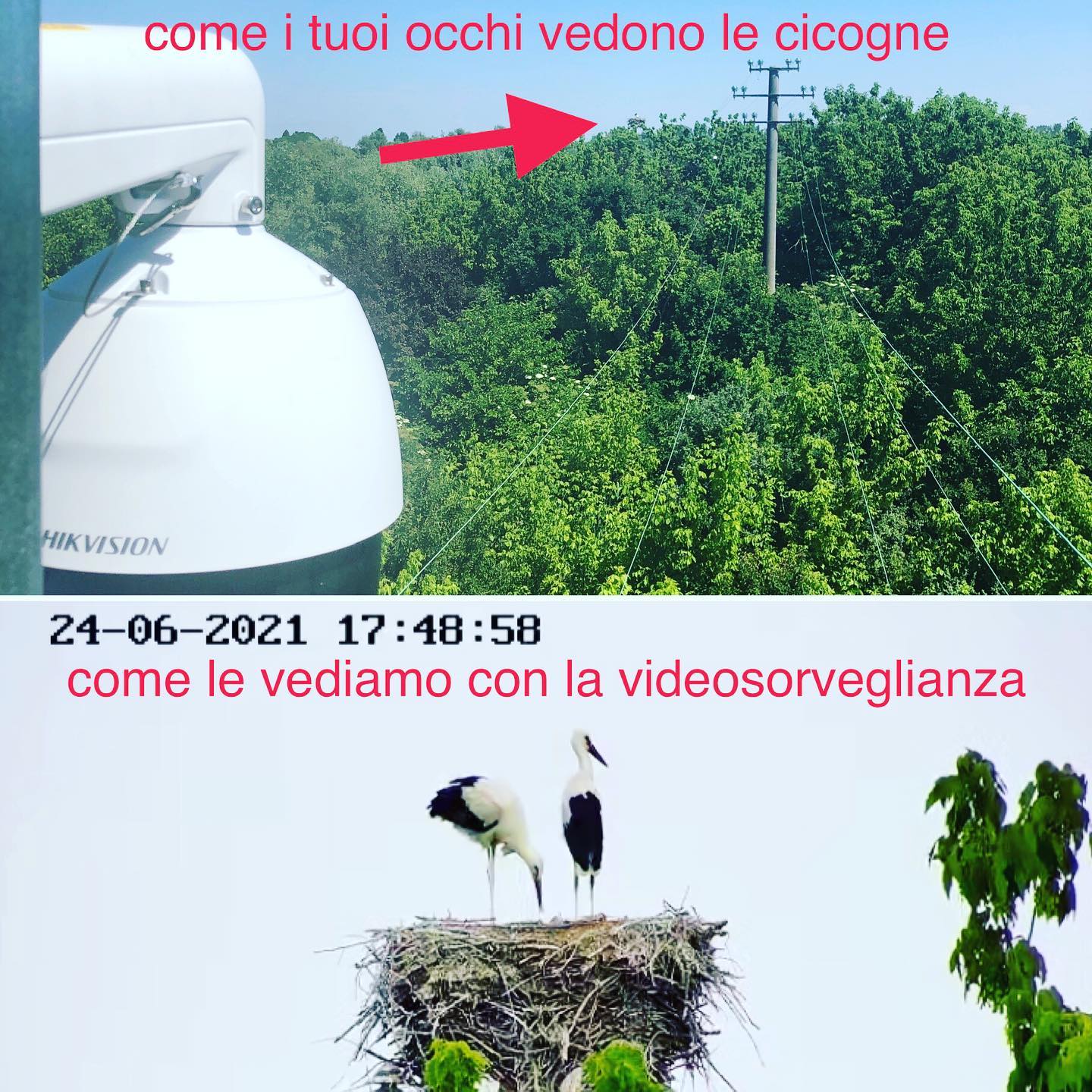 Richiedi la tua soluzione di #sicurezza e #videosorveglianza a @emiltronica_srl  See more: https://www.hikvision.com/it/newsroom/success-stories/healthcare/telecamere-hikvision-per-proteggere-la-biodiversita/ #videosorveglianzabologna #sicurezzabologna #biodiversità @ternaspa